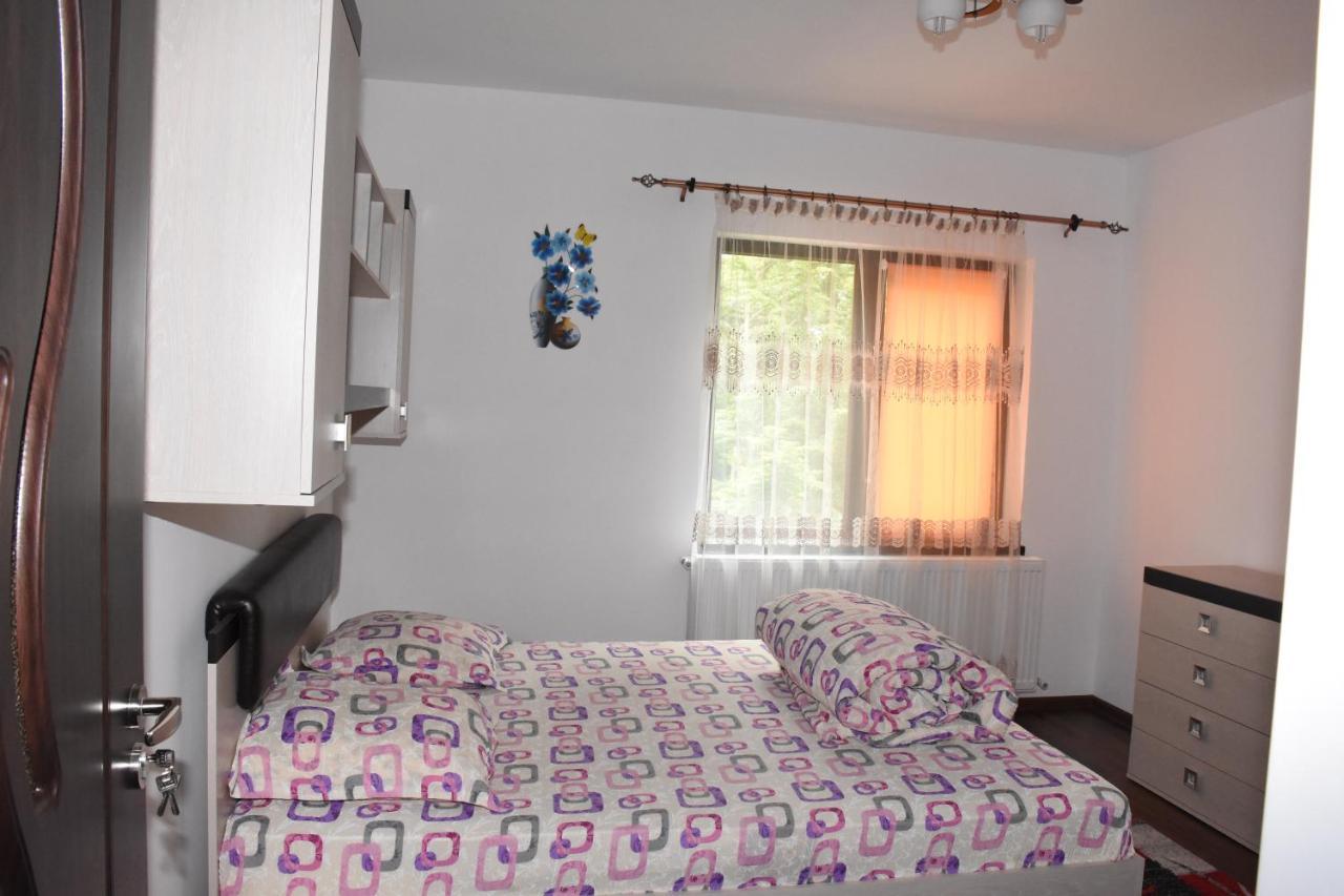 Hotel Apartament ELDYA comfort&suites Predeal Exterior foto